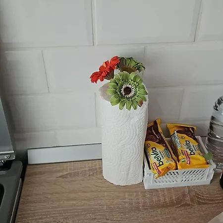 Modern & Cozy Cismigiu Park - Pop6 *